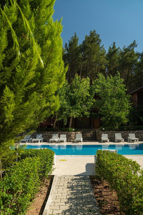 Olimpia Hotel Olympos Kültér fotó